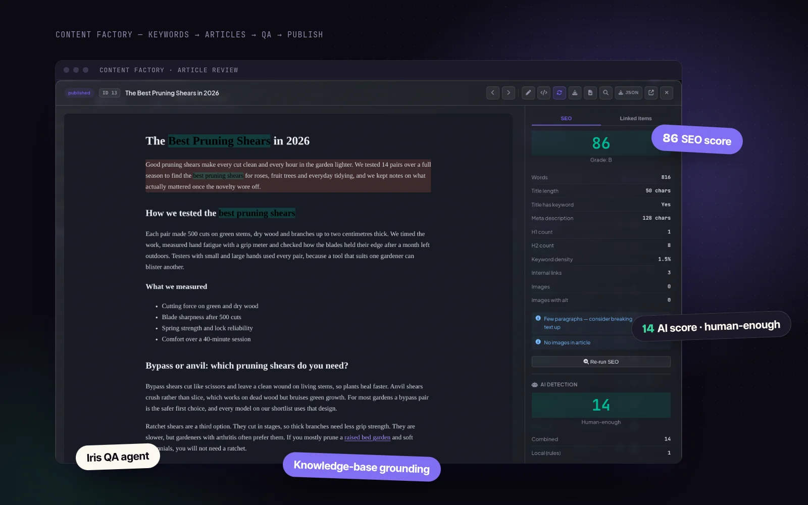 Content Factory article review with SEO and AI scores